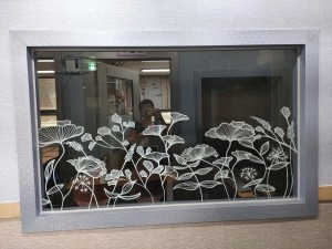 IMG20240603114950